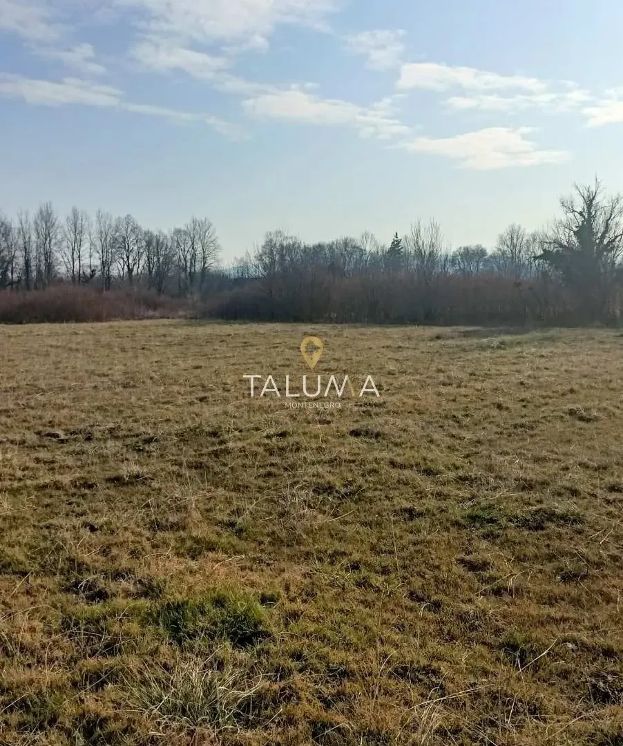Prodaja, plac, 4478m², Kosić, Danilovgrad