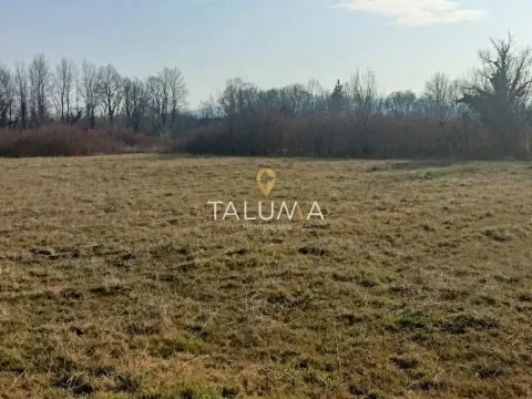 Sale, land lot, 4478m², Kosić, Danilovgrad - image 2