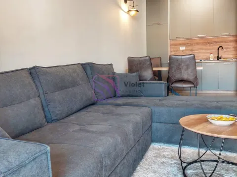 Rent, one bedroom apartment, 49m², Master Kvart, Podgorica - image 4