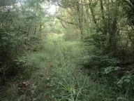 Prodaja, plac, 18900m², Velja Gorana, Bar - image 7