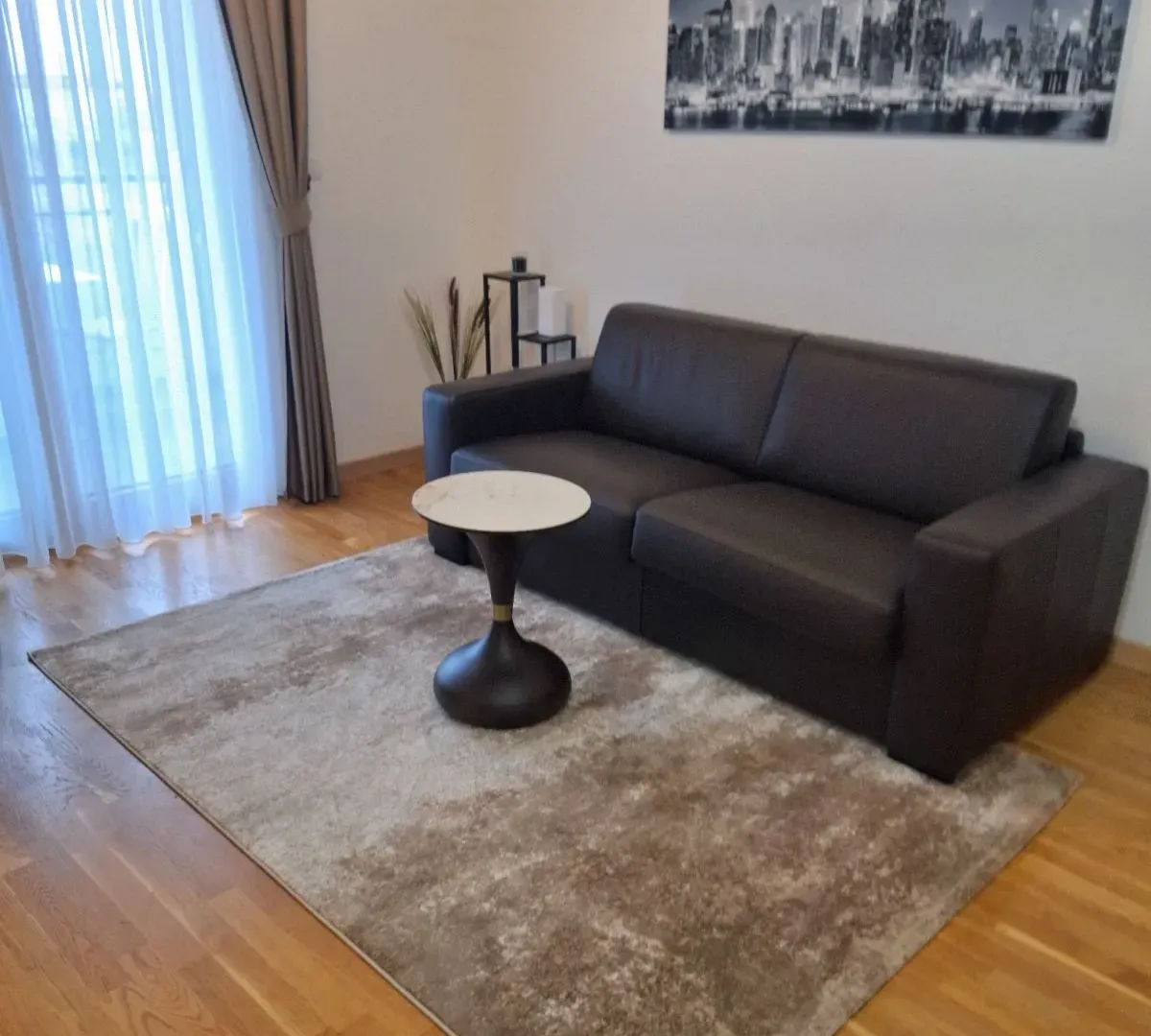Daily-rent, one bedroom apartment, 36m², Centar, Podgorica