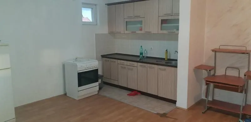 Rent, one bedroom apartment, 46m², Adice, Novi Sad Sve Podlokacije