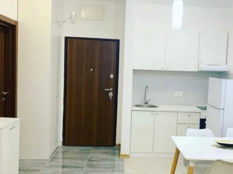 Daily-rent, apartment, 31m², Ljubović, Podgorica - image 5