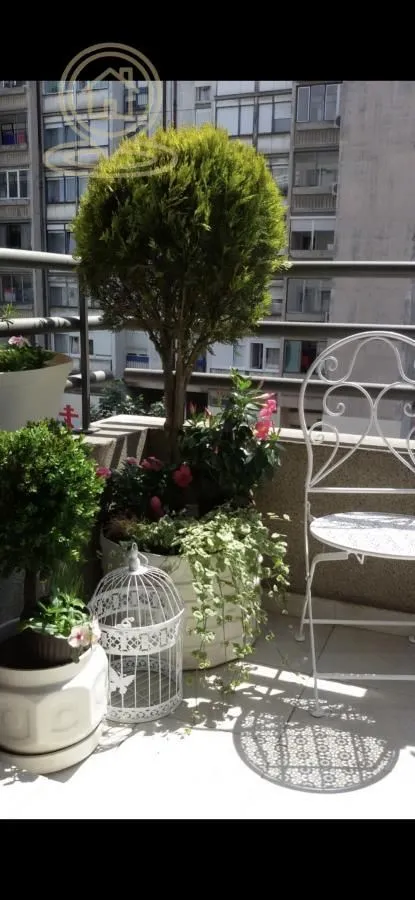 Rent, two bedroom apartment, 55m², Vračar Sve Podlokacije, Beograd