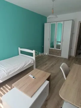 Rent, three bedroom apartment, 76m², Pantelej, Niš - image 11