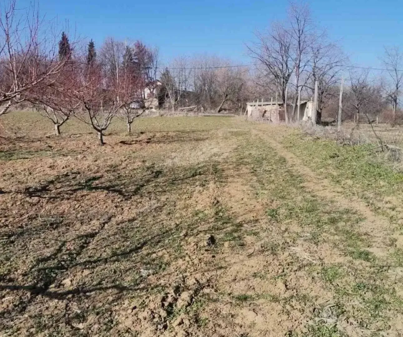 Prodaja, plac, 19600m², Dubona, Mladenovac