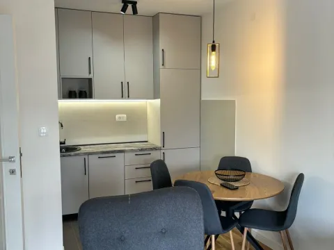 Rent, one bedroom apartment, 42m², Pobrežje, Podgorica - image 5