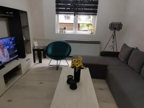 Sale, one bedroom apartment, 39m², Resavica (varošica), Despotovac - image 6