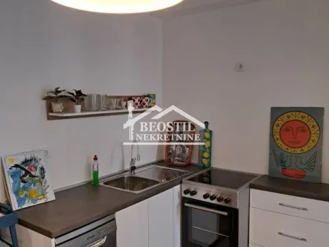 Izdavanje, jednosoban stan, 36m², Vračar Sve Podlokacije, Beograd - image 6