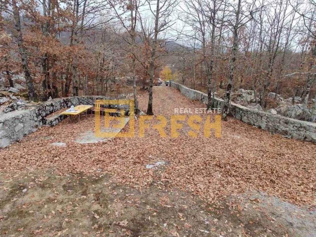 Prodaja, plac, 68000m², Kuče, Podgorica
