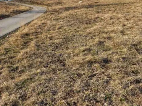 Sale, land lot, 3200m², Centar, Zlatibor - image 4