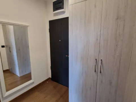 Rent, one bedroom apartment, 48m², Ljubović, Podgorica - image 8