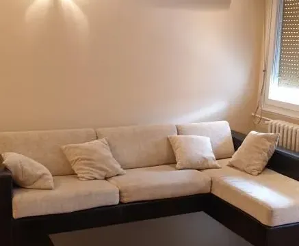 Izdavanje, dvosoban stan, 49m², Liman 4, Novi Sad Sve Podlokacije - image 2