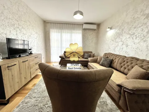 Izdavanje, dvosoban stan, 65m², Stari Aerodrom, Podgorica - image 4