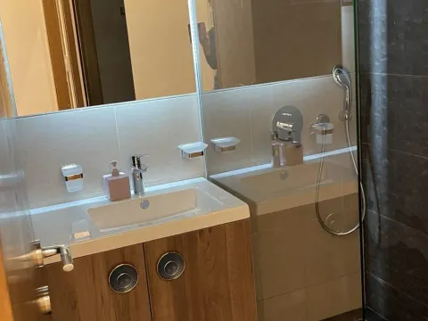 Izdavanje, jednosoban stan, 50m², Podgorica, Crna Gora - image 8