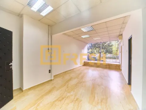 Poslovni prostor in Gintaš