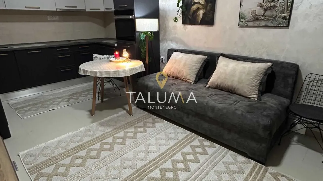 Rent, one bedroom apartment, 40m², Zlatica, Podgorica