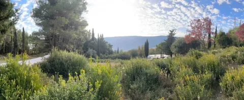 Pogled na zeleno dvorište i okolnu prirodu sa drvećem i rastinjem. - image 4