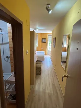 Izdavanje, garsonjera, 25m², Centar, Cetinje - image 7