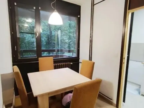 Rent, one bedroom apartment, 54m², Višnjička Banja, Palilula Sve Podlokacije - image 3