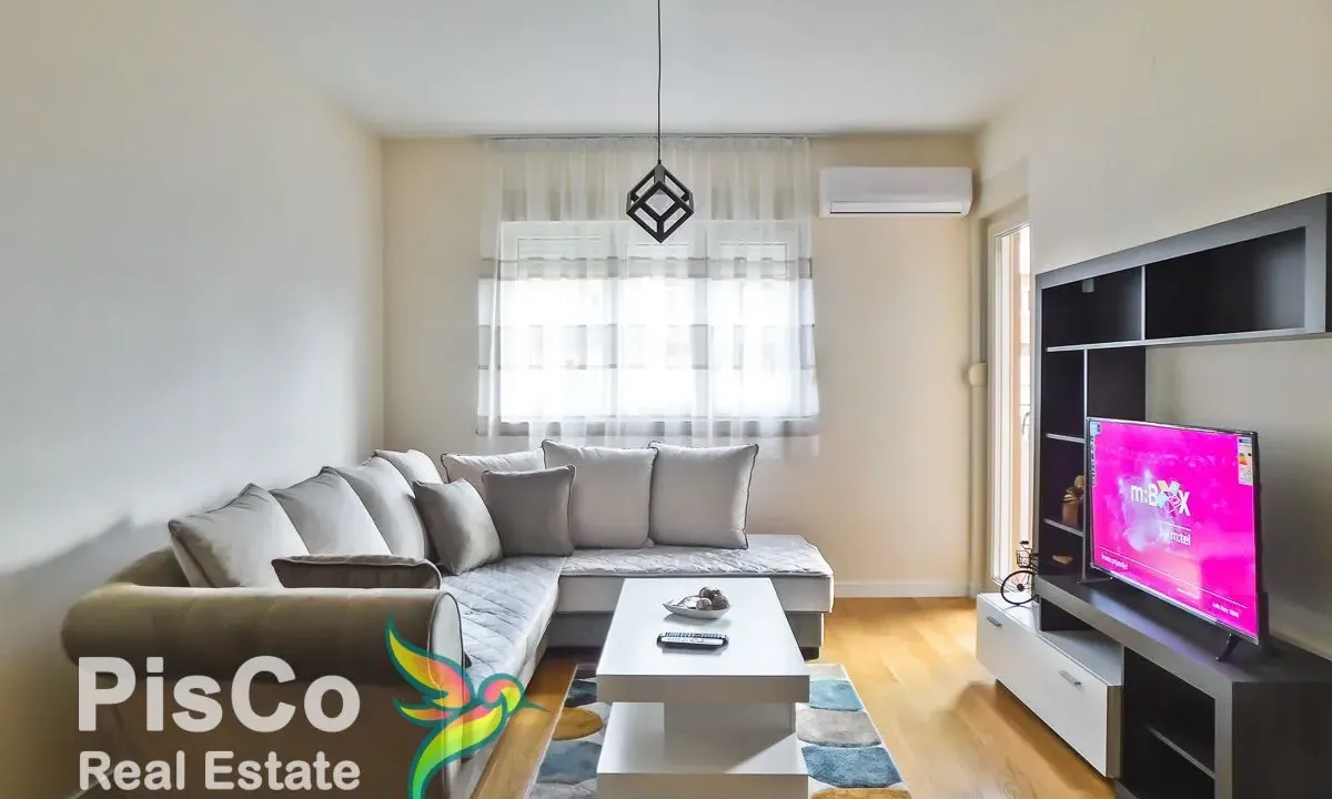 Rent, one bedroom apartment, 49m², Central Point, Podgorica