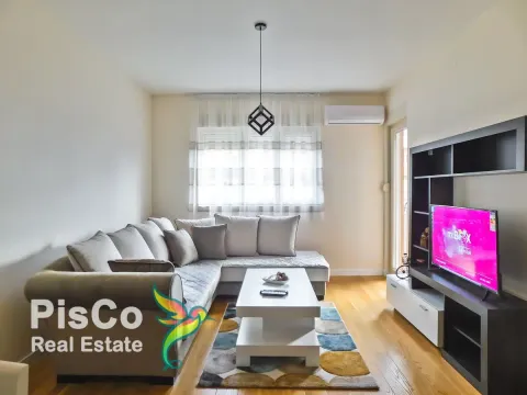 Izdavanje, jednosoban stan, 49m², Central Point, Podgorica - image 1