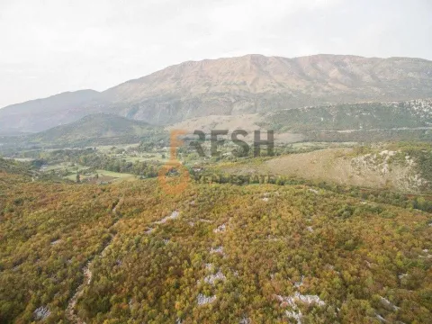 Prodaja, plac, 104804m², Danilovgrad, Crna Gora - image 6