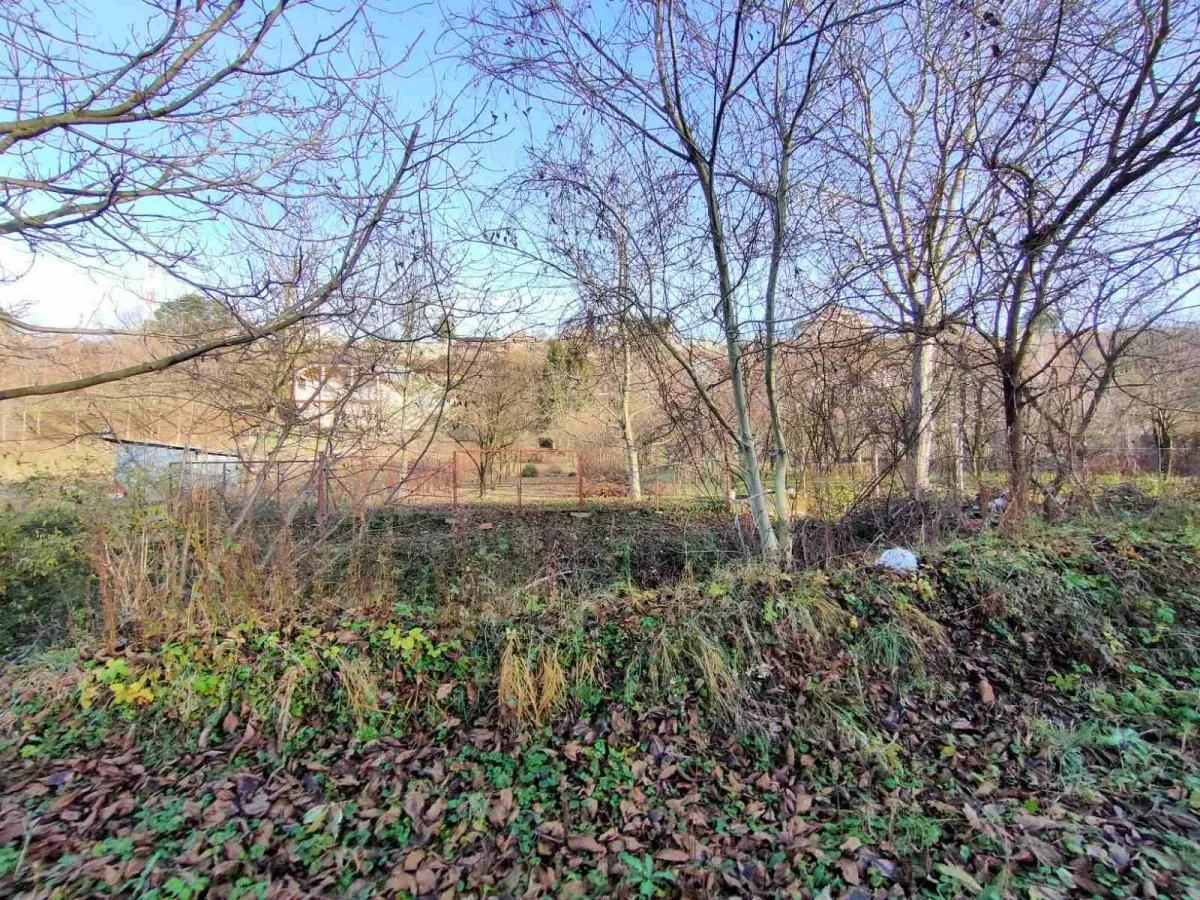 Prodaja, plac, 1000m², Sremska Kamenica, Petrovaradin