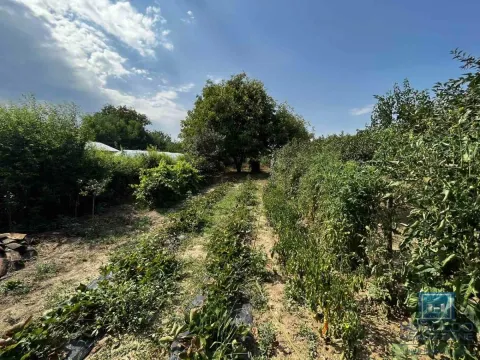 Sale, house, 65m², Kovačevac, Jagodina - image 19