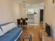 Izdavanje, jednosoban stan, 41m², Central Point, Podgorica - image 1