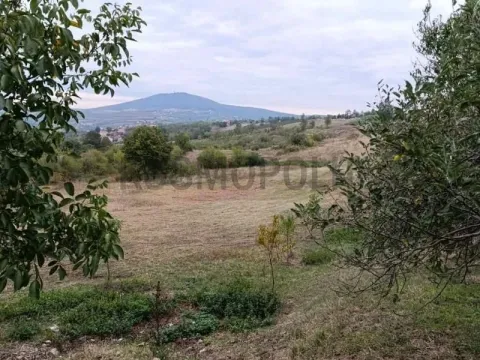 Prodaja, plac, 5000m², Voždovac Sve Podlokacije, Beograd - image 1