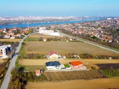 Sale, land lot, 1300m², Sremska Kamenica, Petrovaradin - image 3