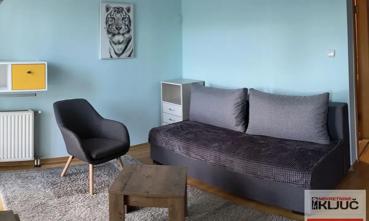 Rent, one bedroom apartment, 30m², Liman 4, Novi Sad Sve Podlokacije