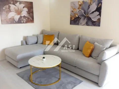 Rent, one bedroom apartment, 34m², Bulevar Oslobodjenja, Novi Sad Sve Podlokacije - image 2