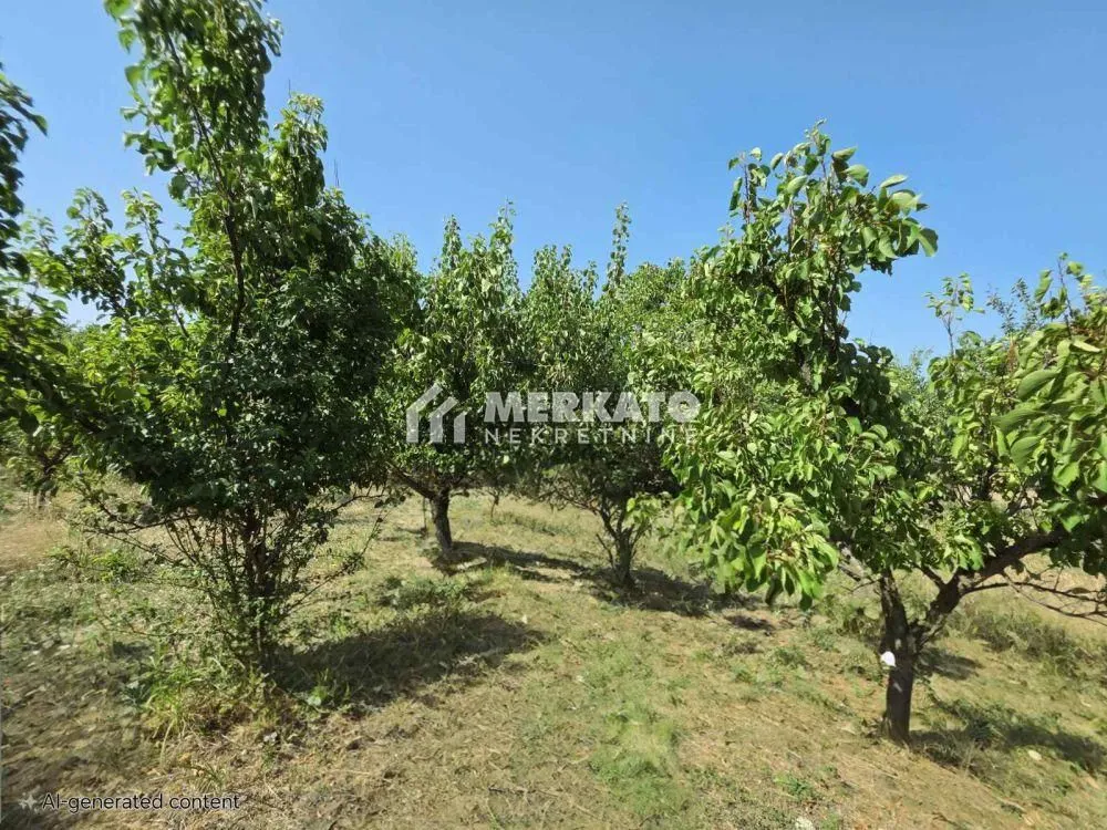 Prodaja, plac, 3100m², Bagljaš, Zrenjanin