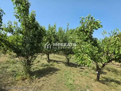 Sale, land lot, 3100m², Bagljaš, Zrenjanin - image 8