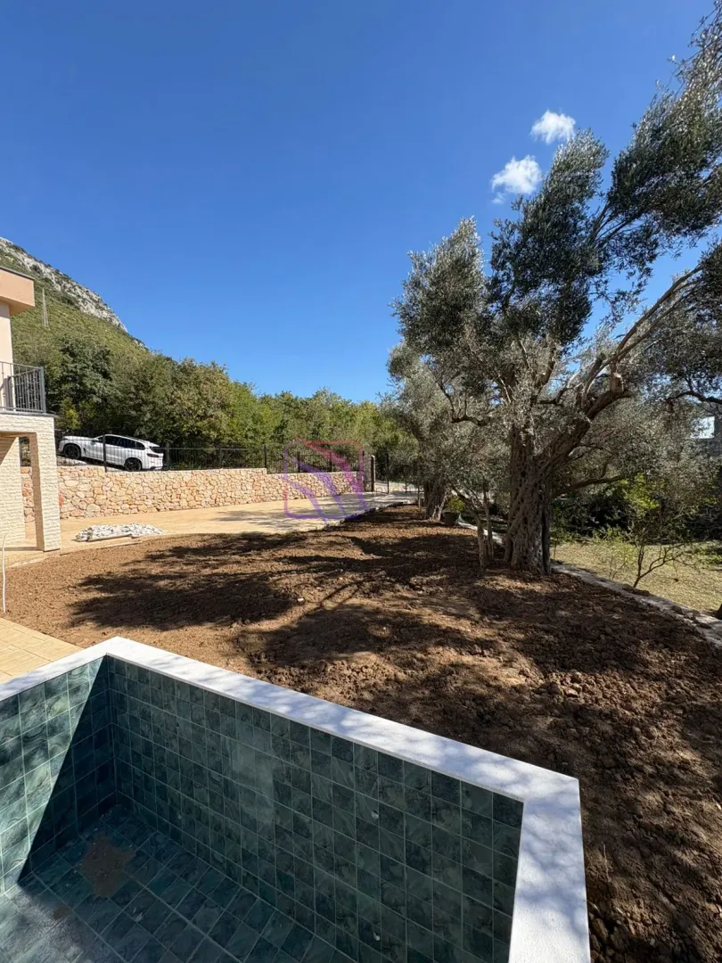 Yard with olive trees and a swimming pool under construction.