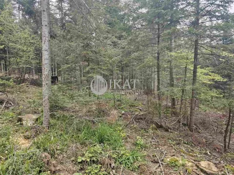 Sale, land lot, 500m², Tara, Srbija - image 5