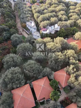 Pogled iz vazduha na imanje sa kućama i bujnim zelenilom. - image 5