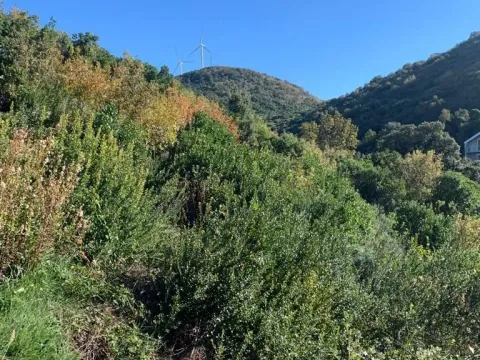 Sale, land lot, 1594m², Utjeha, Bar - image 25