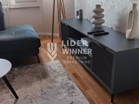 Izdavanje, jednosoban stan, 30m², Stari Grad, Beograd - image 3