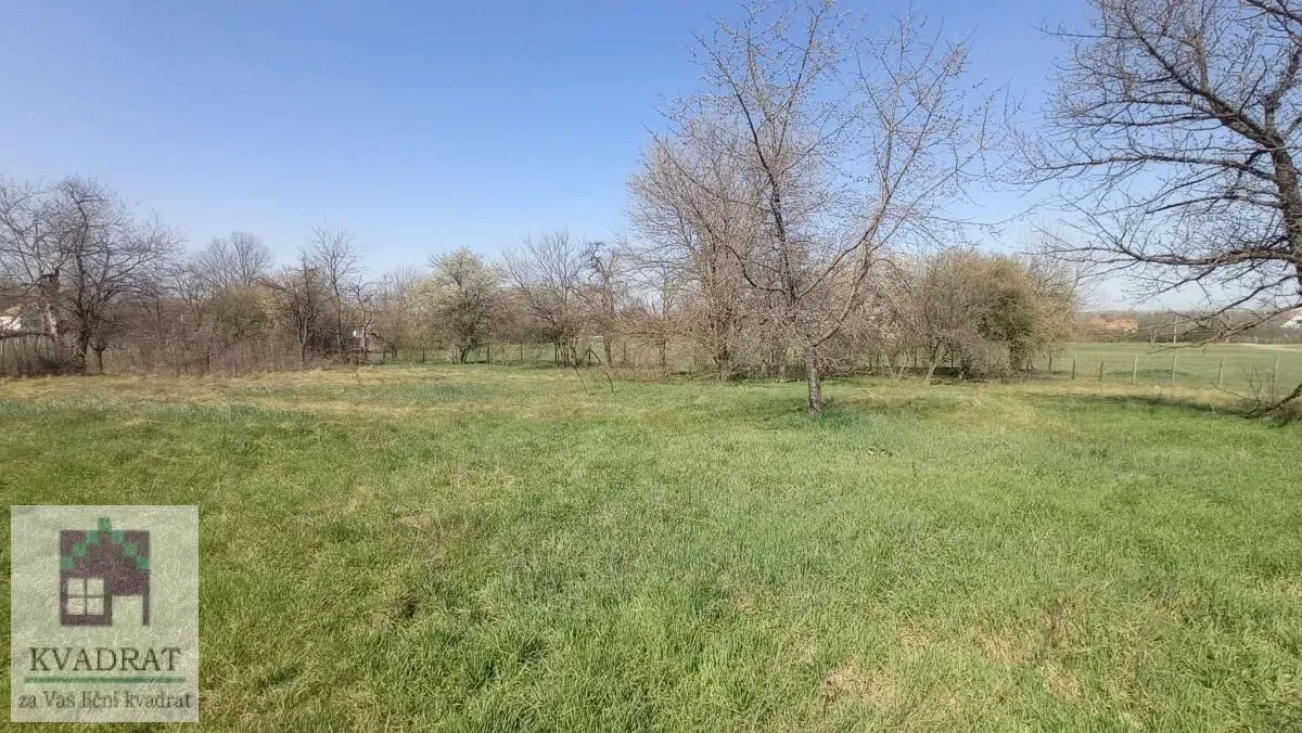 Pogled na prostrano zeleno dvorište puno drveća.