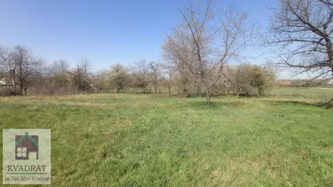 Pogled na prostrano zeleno dvorište puno drveća. - image 7