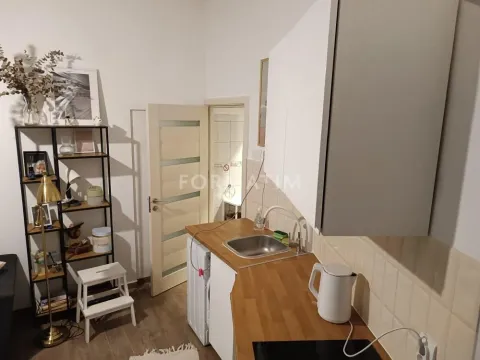 Izdavanje, jednosoban stan, 31m², Stari Grad, Beograd - image 6