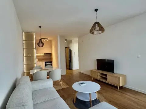 Izdavanje, jednosoban stan, 45m², Stari Aerodrom, Podgorica - image 8