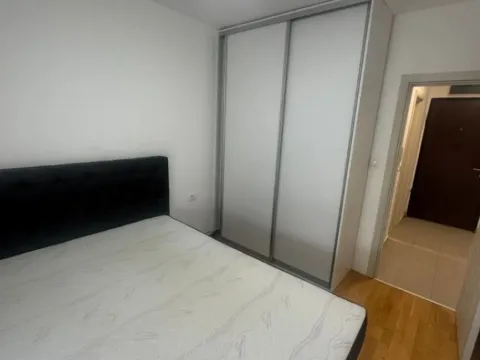 Izdavanje, jednosoban stan, 45m², Ljubović, Podgorica - image 7