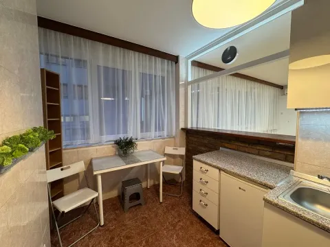 Izdavanje, dvosoban stan, 53m², Vračar Sve Podlokacije, Beograd - image 5