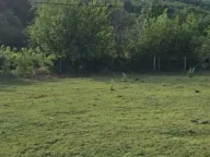 Prodaja, plac, 1270m², Velika Ivanča, Mladenovac - image 1