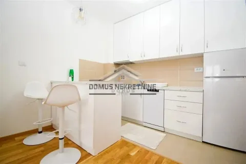 Rent, one bedroom apartment, 47m², Tuški Put, Podgorica - image 3