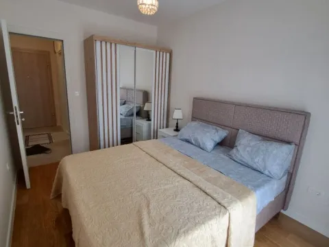 Izdavanje, jednosoban stan, 46m², Central Point, Podgorica - image 3